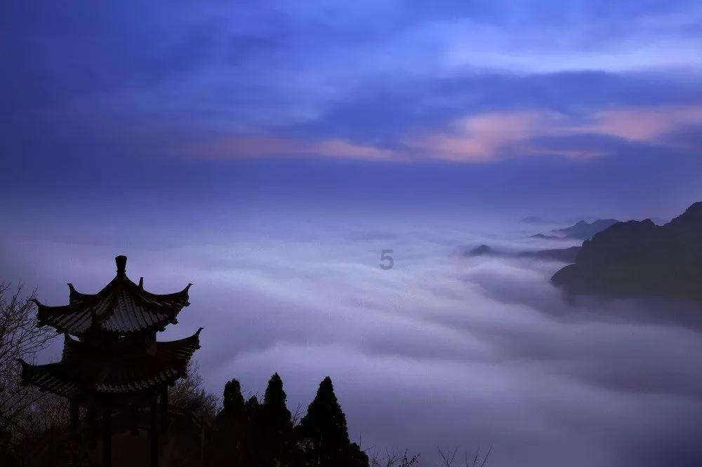 苏菲亚安伯时装秀