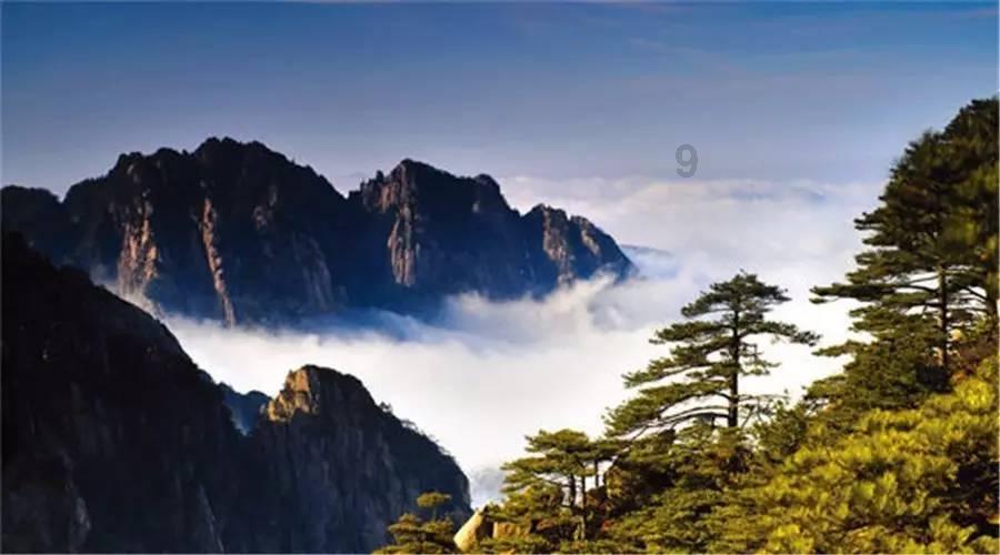 天天走路可以瘦身吗？为什么呢？游戏画面