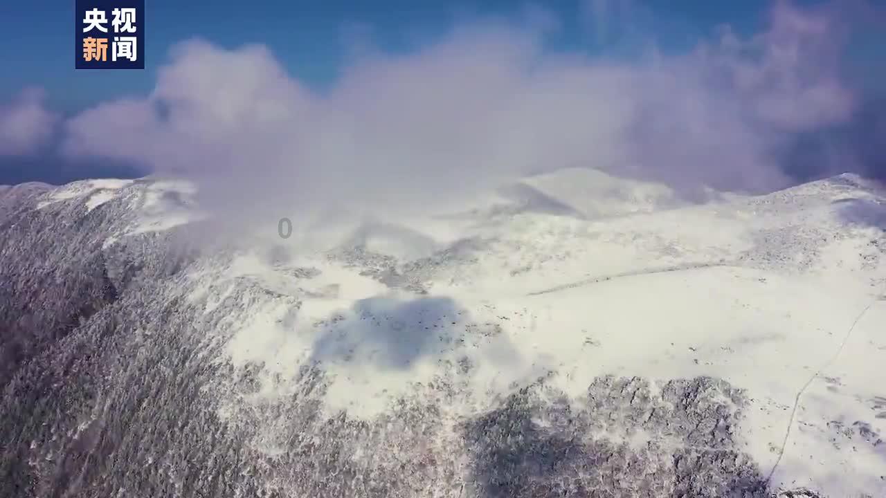 澳洲皮草