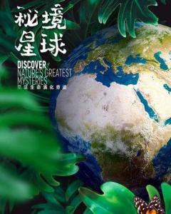 奥日与精灵意志