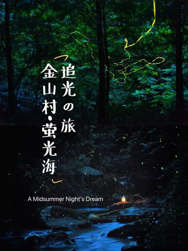 黎明守卫者