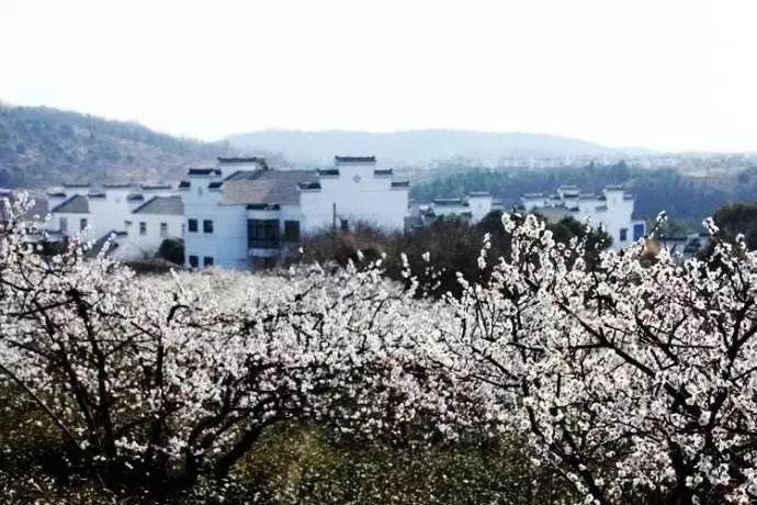 上班为什么容易得胃病游戏画面