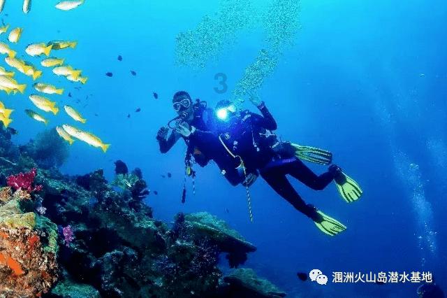 沿河 | 周勇:做强特色产业 闯出富民新路