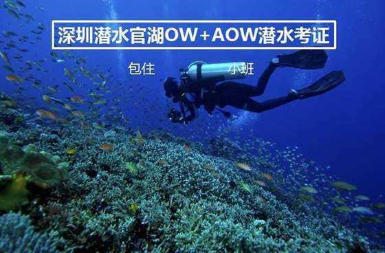《幻兽帕鲁》刷闪及快速升级小技巧
