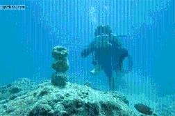 海滩棚屋逃生