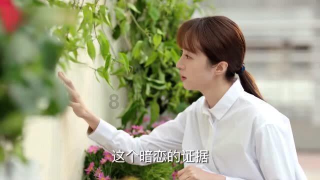 救援可爱小松鼠