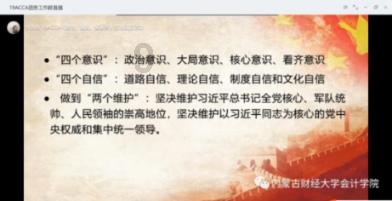 奥利维亚收养猫