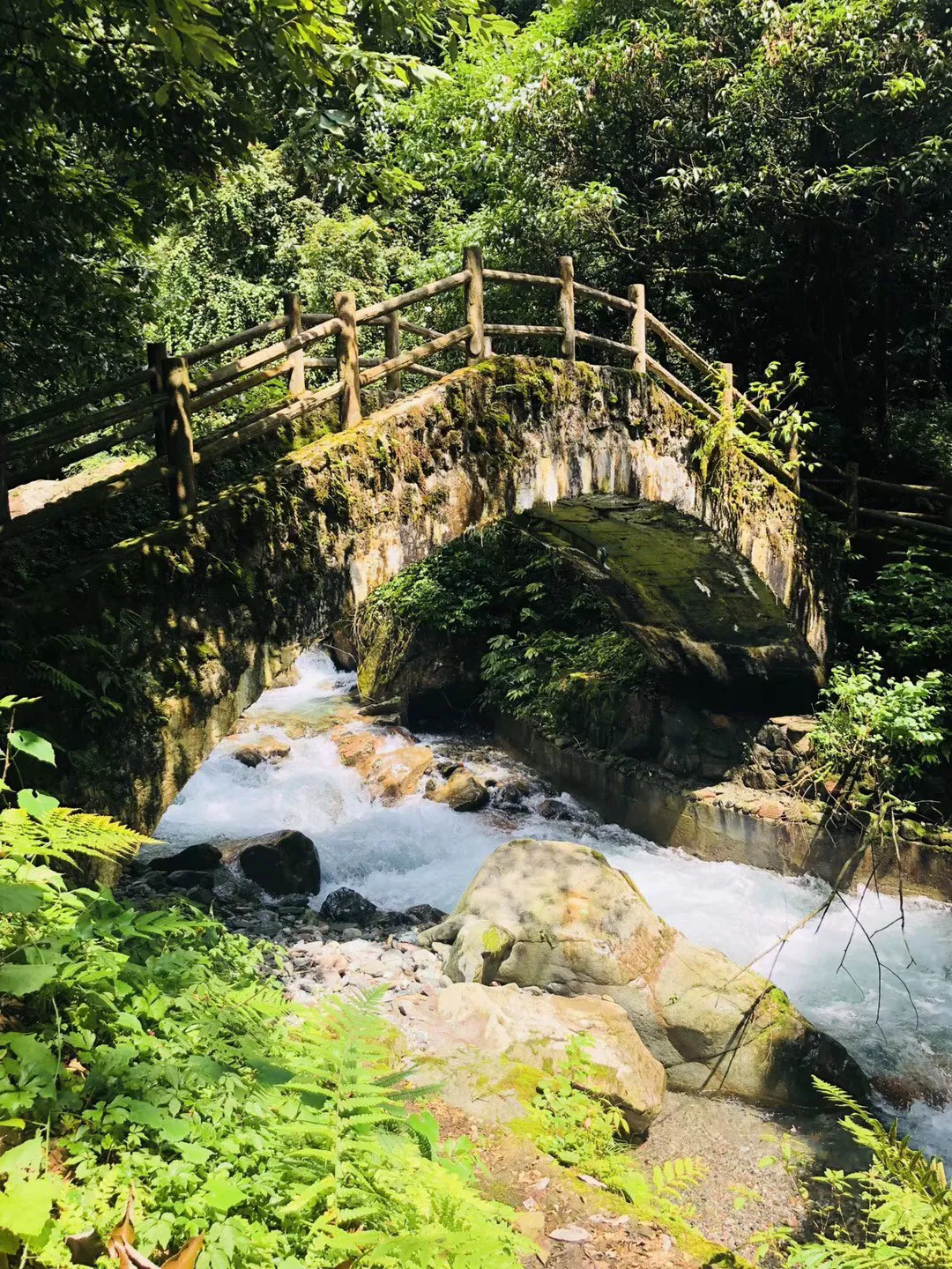 吉林五大产业加快转型升级 增强经济发展动能
