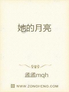 幻想纹章2.2