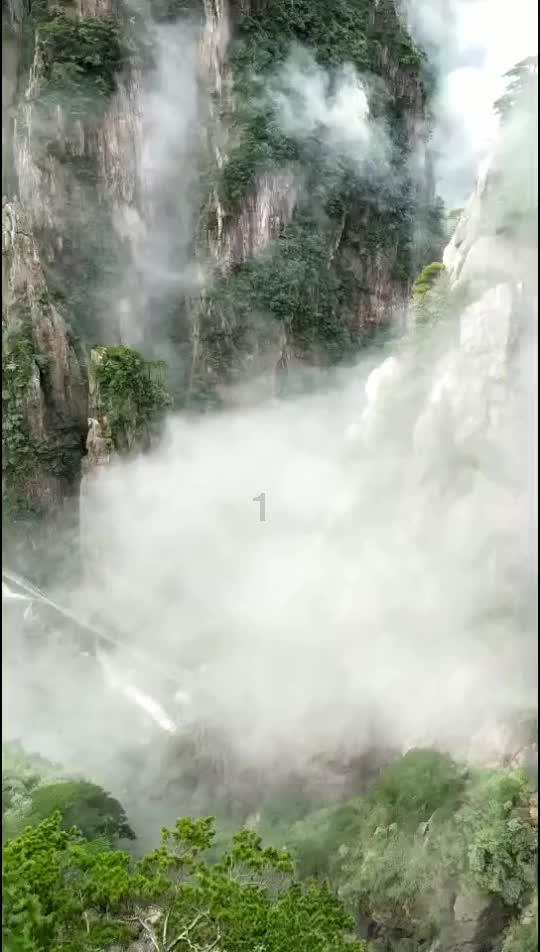 豆娃勇士2
